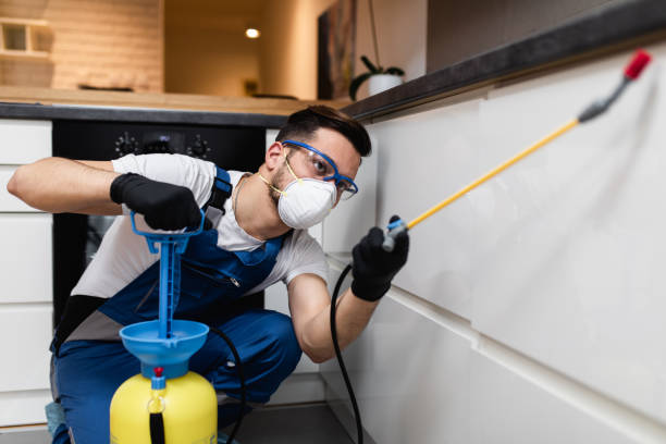 Best Affordable Pest Control Services  in Cedar Hill, MO