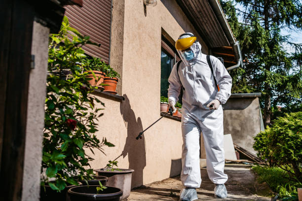Best Pest Prevention Services  in Cedar Hill, MO
