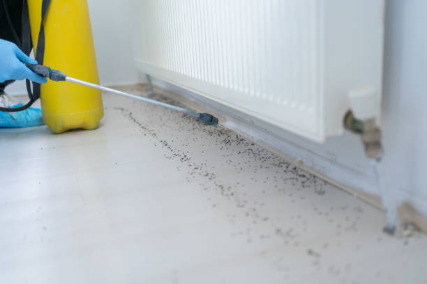 Best Wildlife Control Services  in Cedar Hill, MO